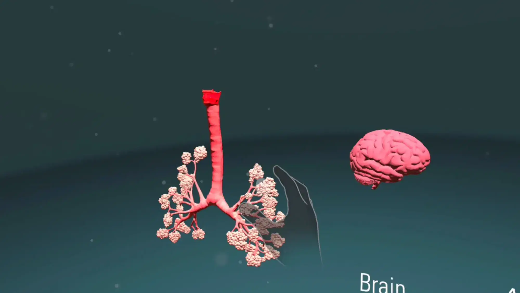 Inside VapingVR: 3D models of the lungs and the brain floating in a dark space, with an outlined virtual hand reaching towards the lungs