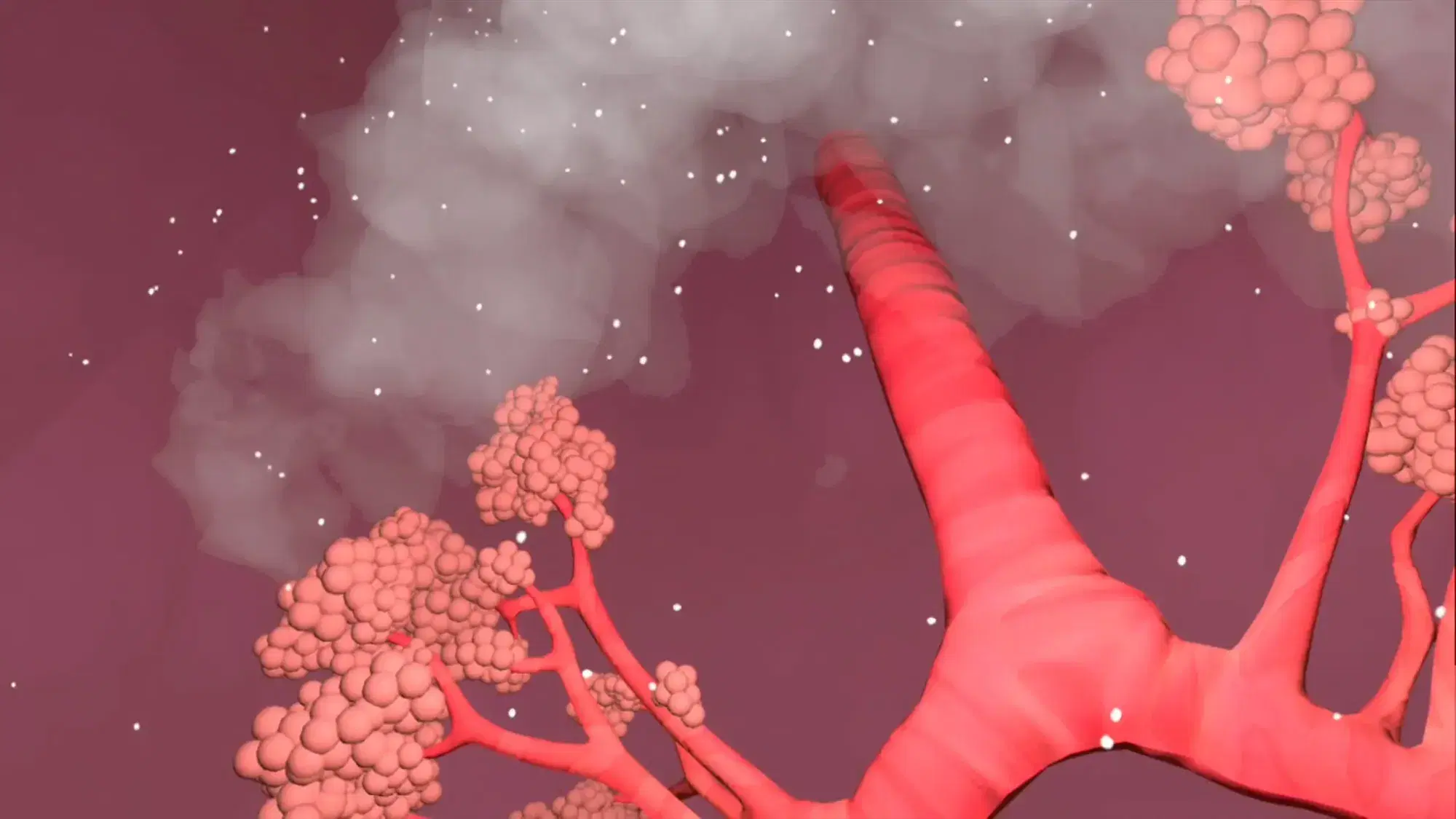Inside VapingVR: a cloud of vapour drifting through pink airways and air sacs in the lungs