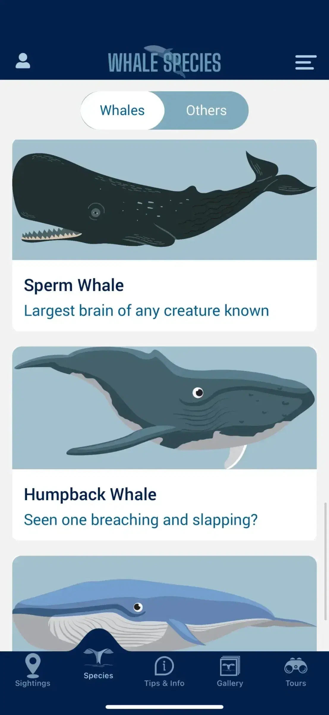 The WhaleWatch species screen listing the sperm whale and humpback whale with illustrations