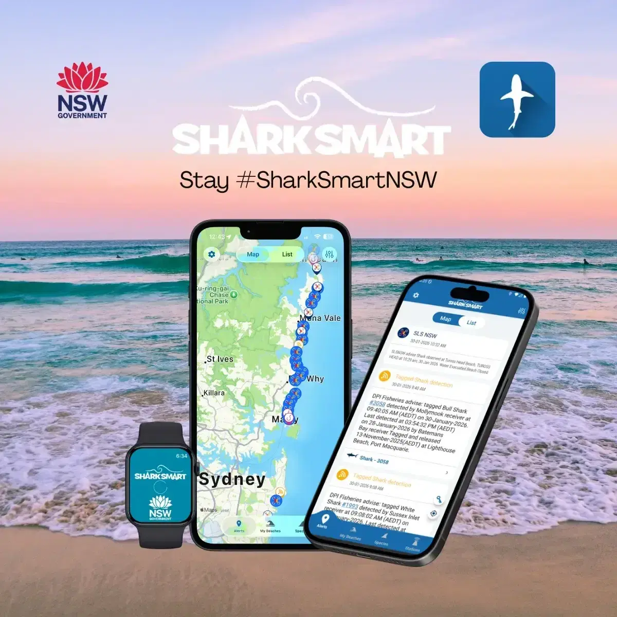 The SharkSmart app on a phone showing a map of the Sydney coast, beside a smartwatch, against a beach at sunset