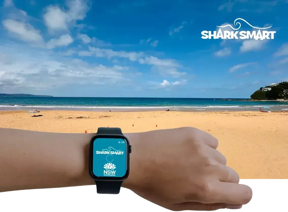 A SharkSmart alert on a smartwatch, worn on a wrist above a beach